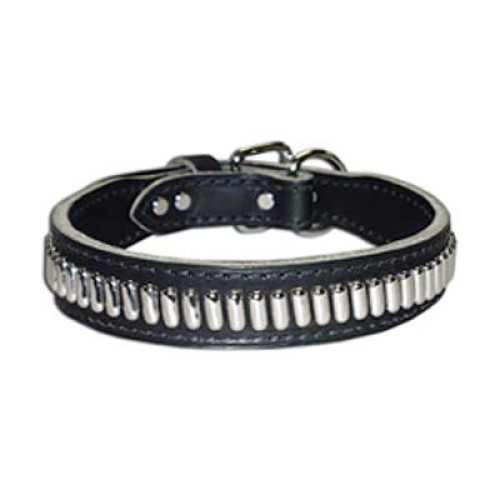  Dog Collars